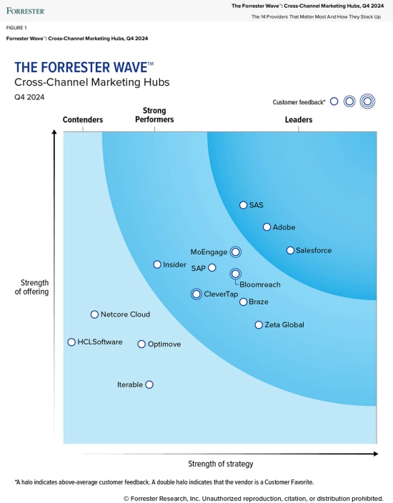Cross-Channel Marketing Hubs - Forrester Wave Q4 2024
